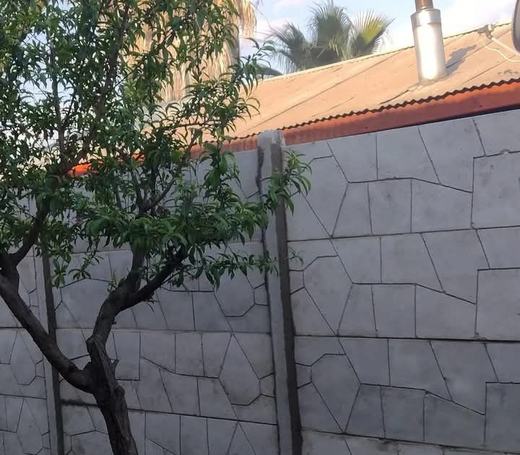 Muro perimetral de concreto con textura de piedra y un árbol.