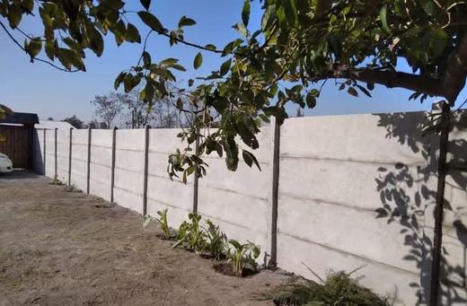 Cierre perimetral de concreto vibrado entre árboles.