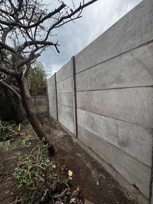 Cierre perimetral de concreto vibrado junto a un árbol.